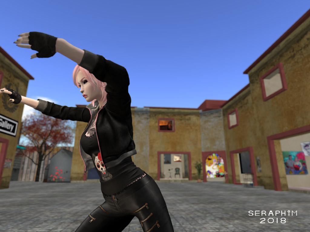 TaiChi6a