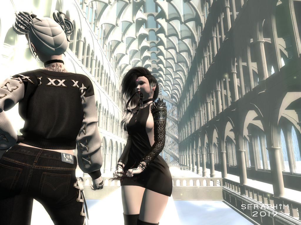 strangerinastrangerland2