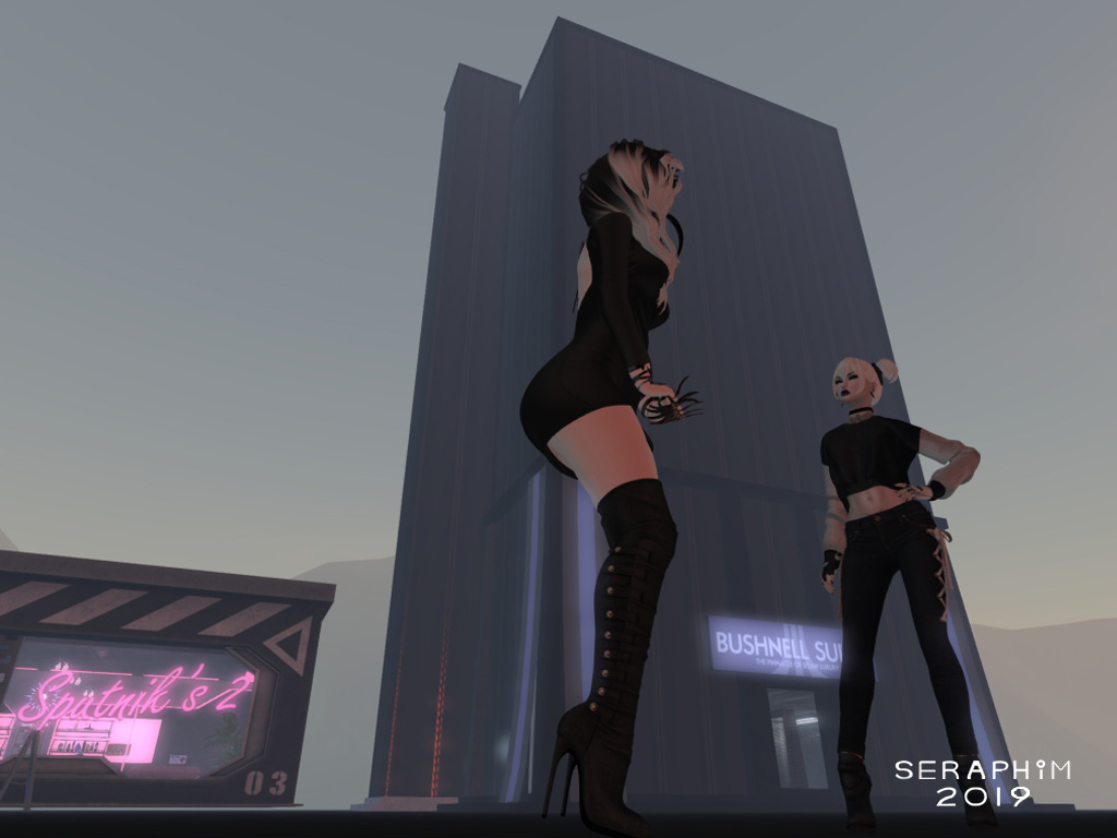 strangerinastrangerland4