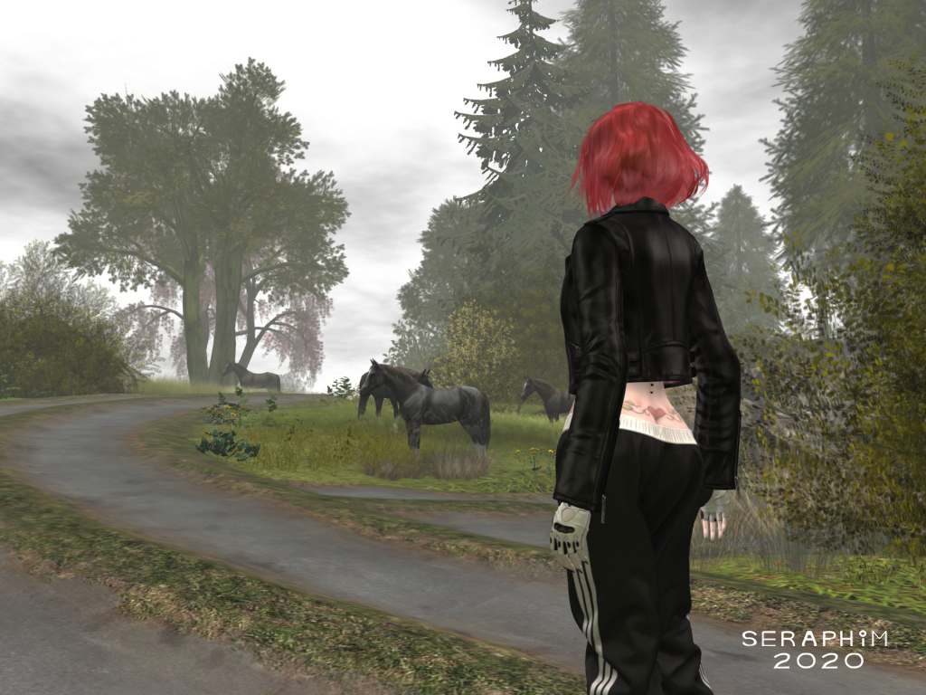 Dya's Abandoned Vacation Spot2